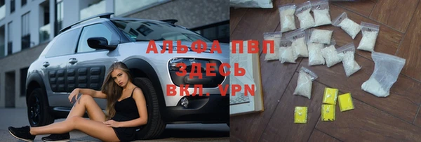 шишки Долгопрудный