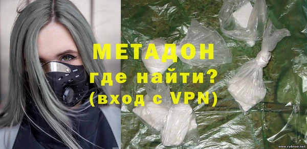 прущие грибы Новый Уренгой