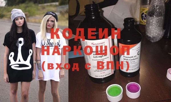 шишки Долгопрудный